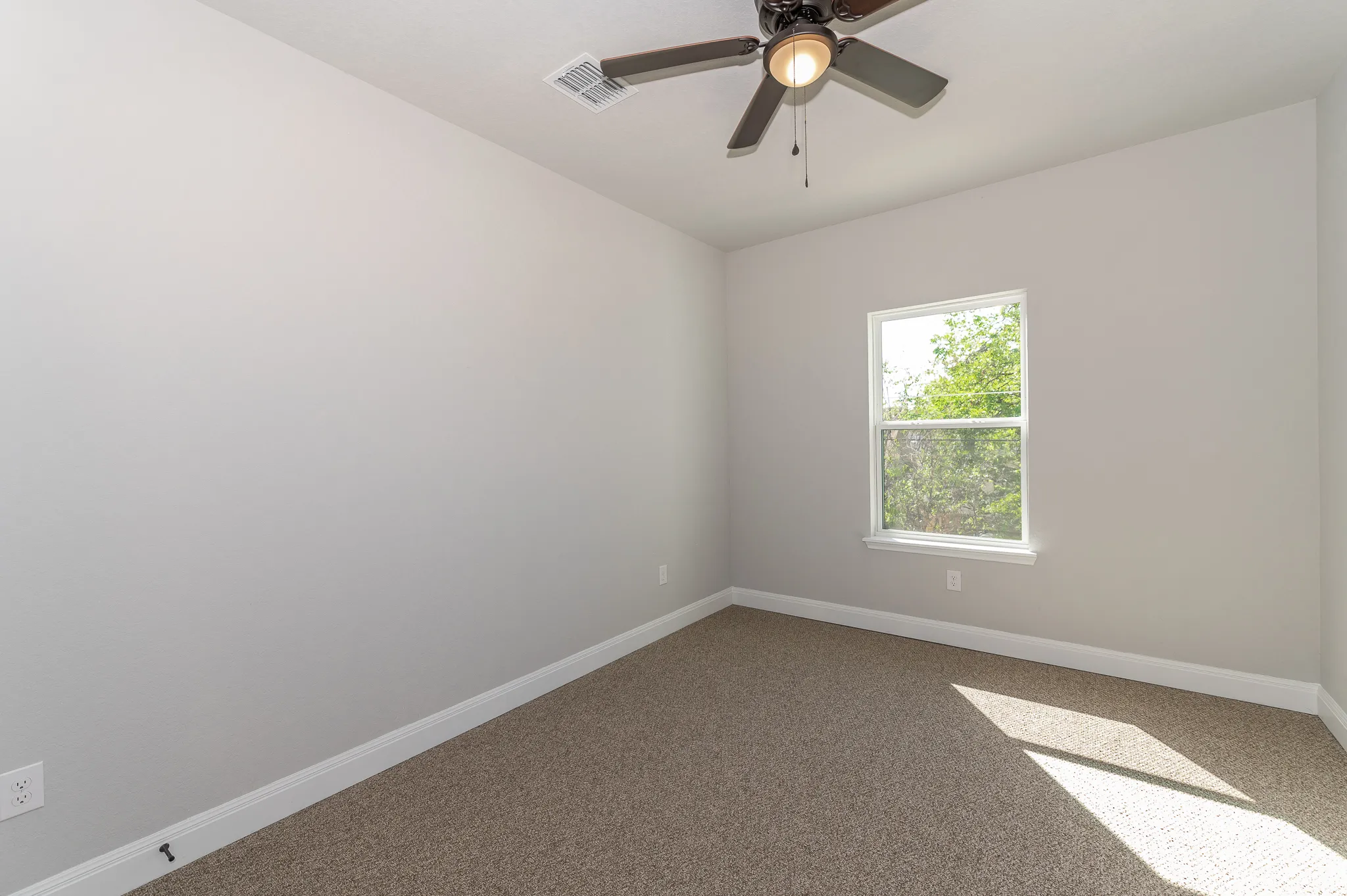 223 Quitman photo 19