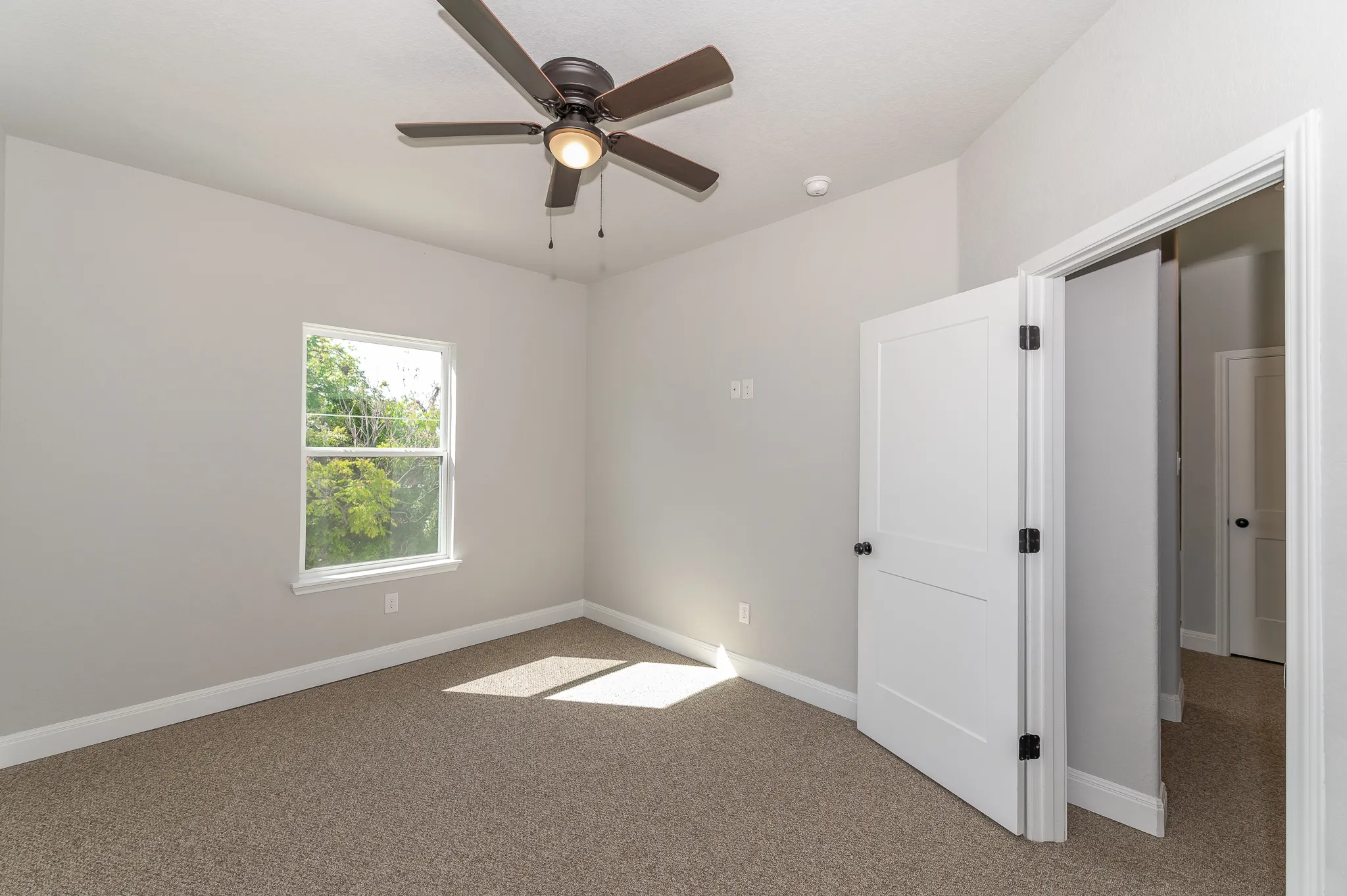 223 Quitman photo 20